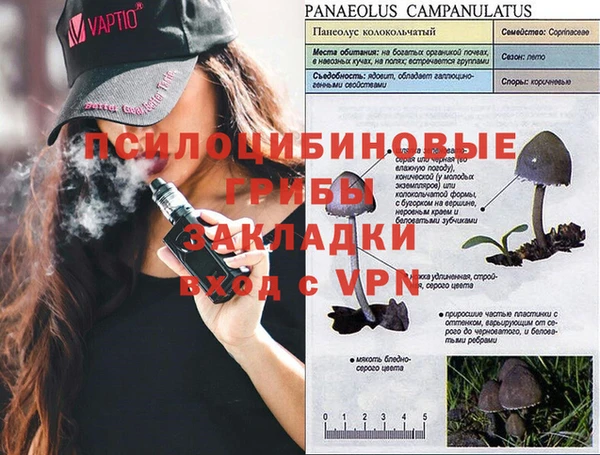 альфа пвп Алексин