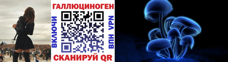 хочу наркоту  Уяр  Псилоцибиновые грибы Psilocybe 